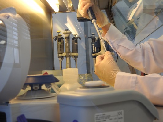 Así son los kits para diferenciar la gripe estacional de la covid-19 de Genetic PCR Solutions