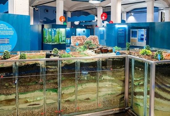 El Museo de la Ciencia amplía sus actividades por el retraso del inicio del curso
