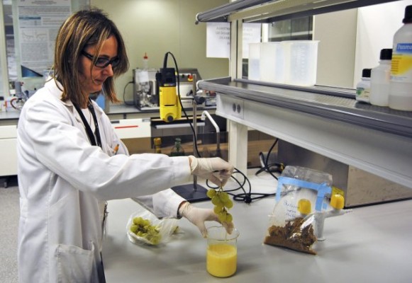 La importancia de la alimentación en pacientes crónicos, a debate en València