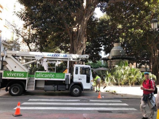 El Síndic reprende al bipartito de Alicante por no informar al PSPV sobre la contrata de jardines