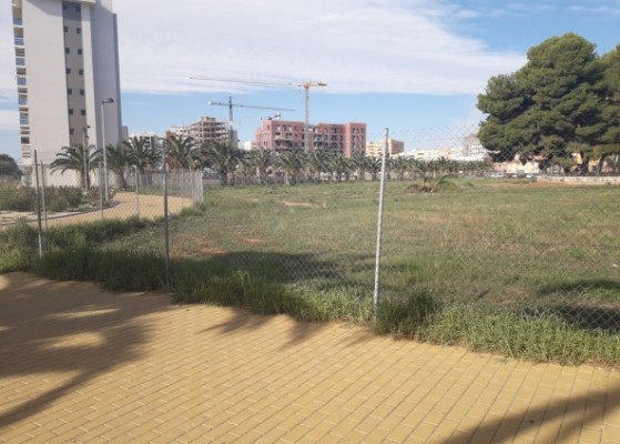Pavasal comenzará antes de octubre las obras de adecuación del solar para trasladar el CEIP Herrero