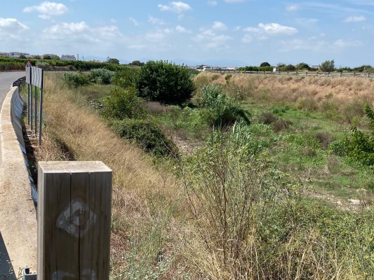 El PP lamenta que Castelló no tenga plan anti inundaciones pese a que ser zona de 