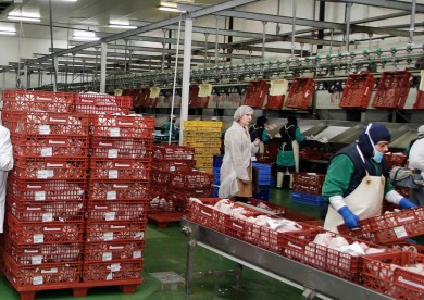 Productos Florida consolida su liderazgo en el sector avícola: factura más de 113 millones y eleva un 11% su cifra de negocio