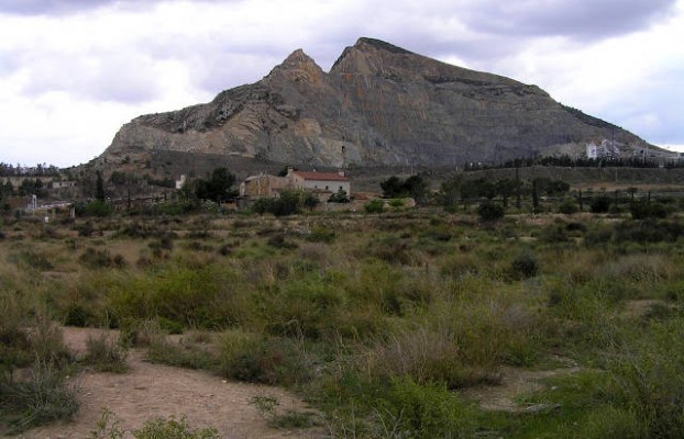 Unidas Podemos se suma a los ecologistas y alega contra la planta solar de Fontcalent