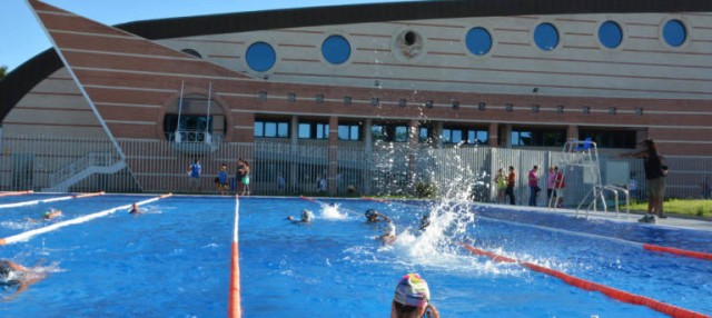 Seis empresas optan al contrato del servicio de actividades y escuelas deportivas y salvamento de Torrevieja