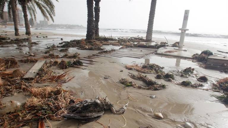 El Gobierno aprueba ayudas por 113 millones de euros por los daños de Gloria
