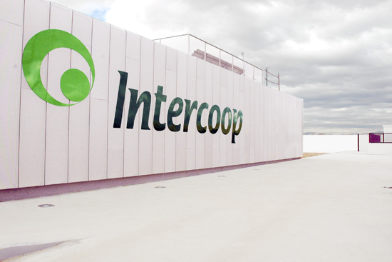 La Diputación y Fundación Intercoop se alían para impulsar el aceite de oliva extra de la provincia