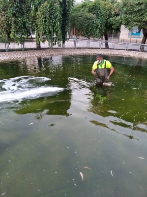Un nuevo sistema de oxigenación de lagos aumenta el ahorro hídrico en la ciudad de Murcia