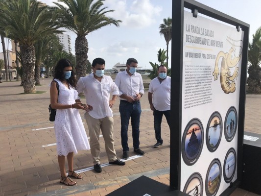 El Gobierno regional alaba la situación del Mar Menor: 