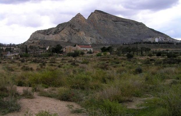 Los ecologistas alegan a la planta fotovoltaica de Fontcalent porque afectaría al Saladar