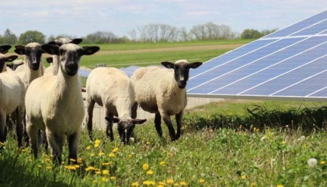 El cambio climático puede afectar negativamente a la producción de energía solar y eólica
