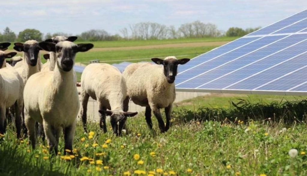 El cambio climático puede afectar negativamente a la producción de energía solar y eólica
