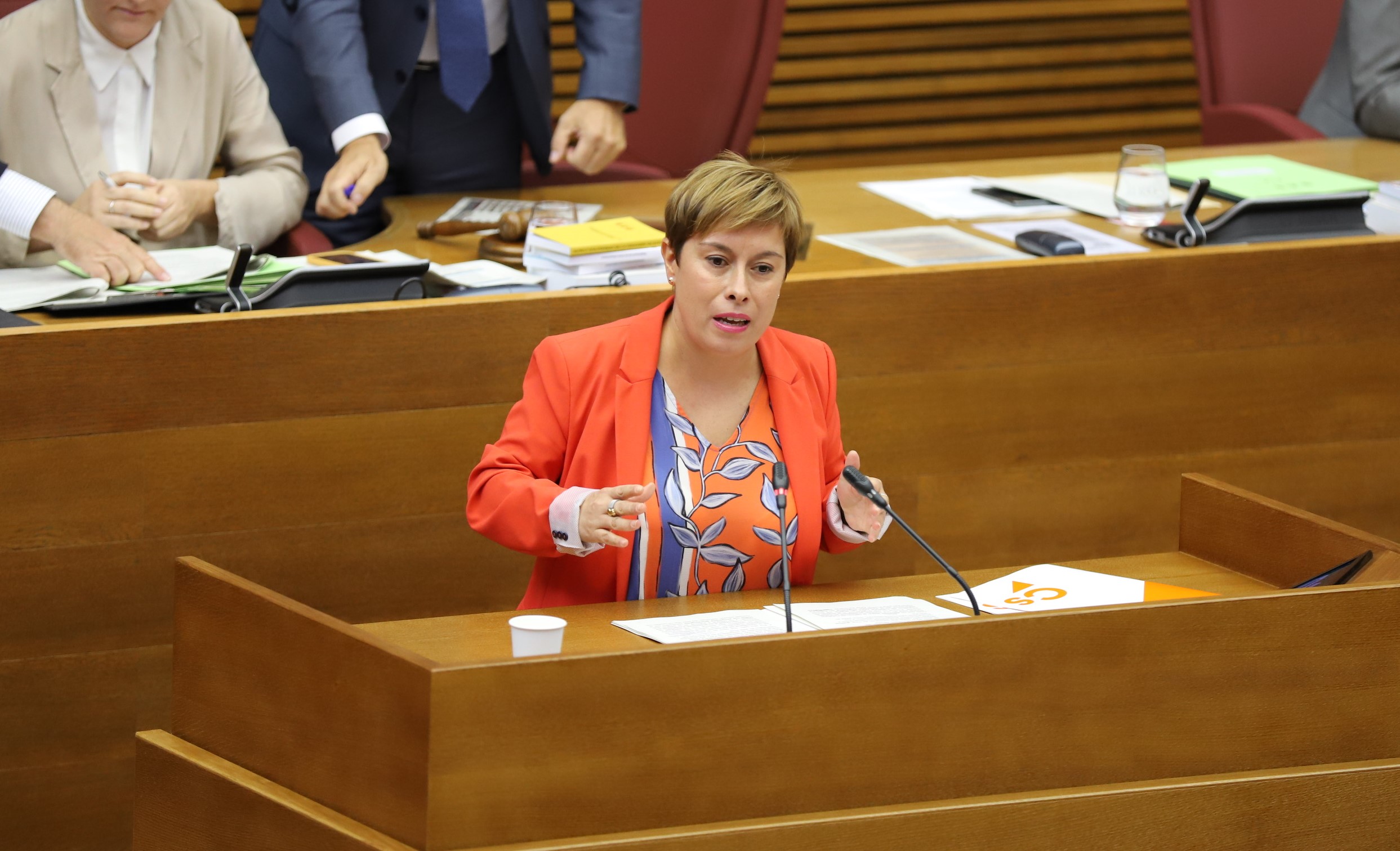 Ciudadanos pide la comparecencia de Marzà en Les Corts para explicar la previsión del inicio de curso