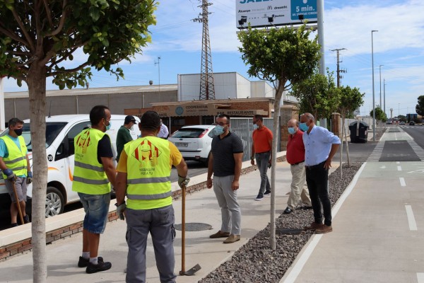 Vila-real adecenta las zonas ajardinadas de los principales accesos a la
ciudad