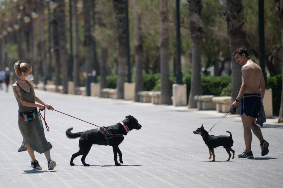 València tramita 220 multas por incumplir la obligación de llevar mascarilla