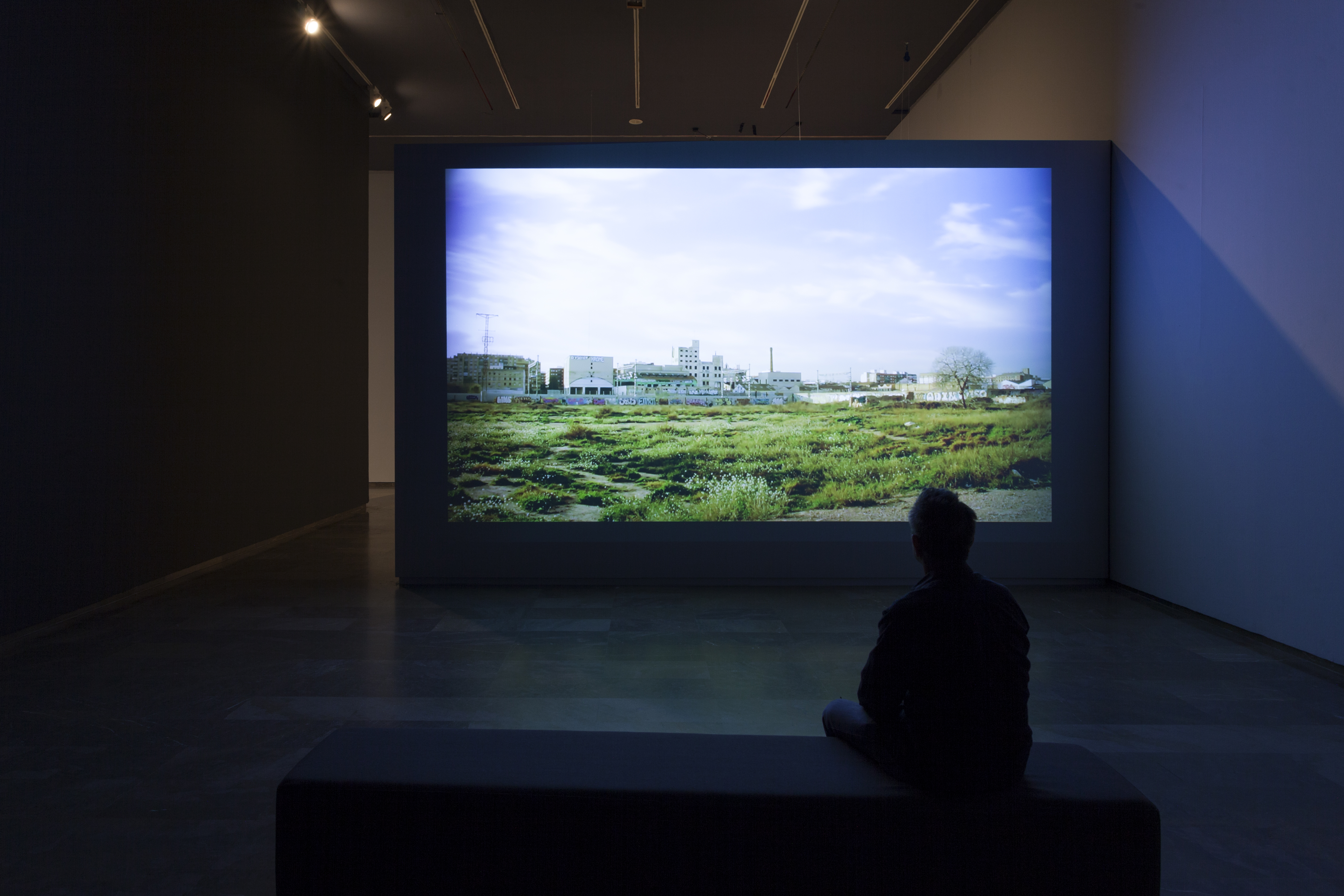 Imatges de l'obra a l'exposició al Centre del Carme l'any 2018. CONSORCI DE MUSEUS - 