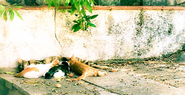 Piensa antes de compartir…
