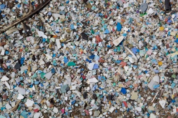 La contaminación plástica se hace patente en tejidos del cuerpo humano
