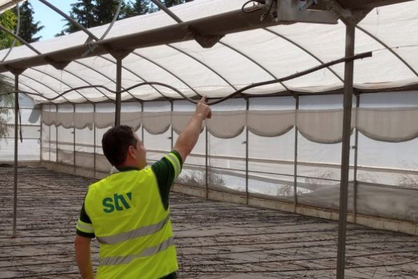 El vivero de Murcia se hace más eficiente: estrena su propio microclima 'inteligente'  