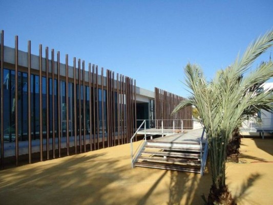 Elche pide al Instituto de la Palmera producción in vitro en 2020, y casi descarta rescindir el contrato