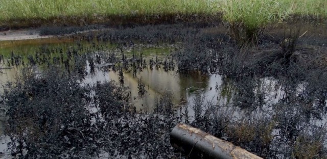 La Fiscalía traslada al Juzgado la denuncia por el vertido de hidrocarburos desde la refinería de Repsol