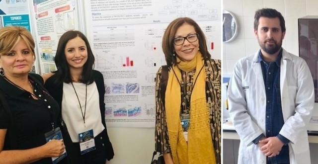 Investigadores de Fisabio describen cómo los ácidos biliares alteran la microbiota y pueden contribuir al daño hepático
