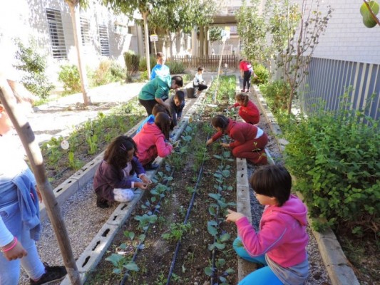 Educación planta la semilla de la concienciación medioambiental en los colegios