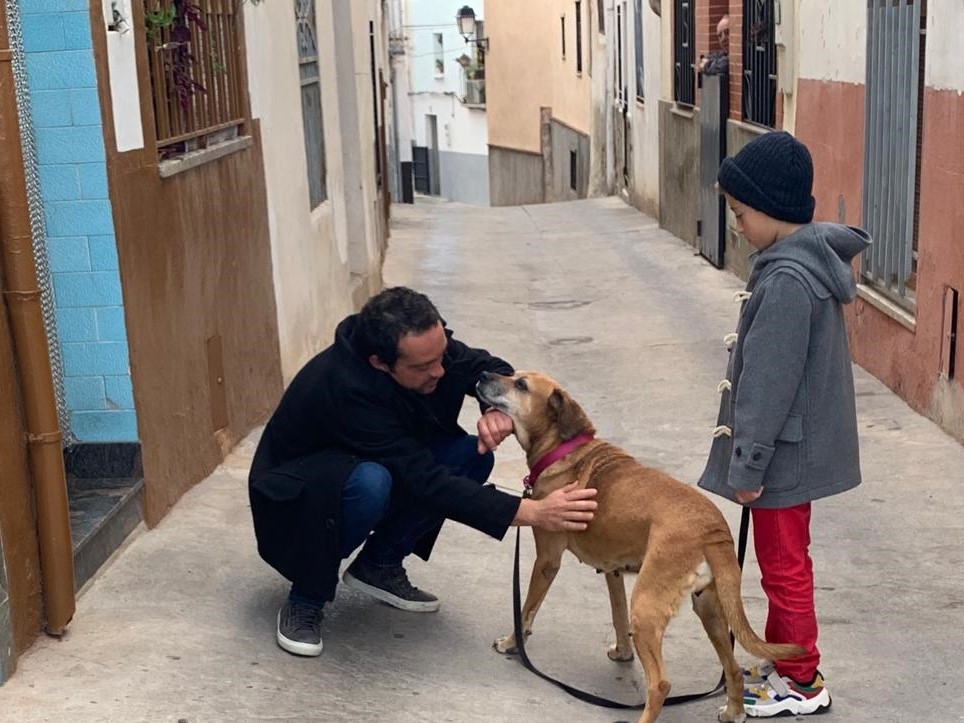 Onda renueva su compromiso por el sacrificio 0 de mascotas y mejora el servicio de adopción 