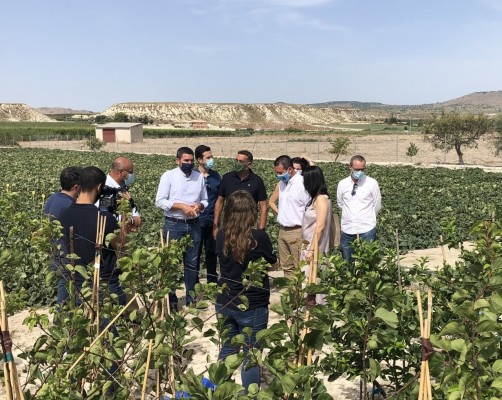 Logran reducir el uso de nitrógeno en los cultivos con microorganismos 'murcianos'