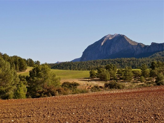 Los alojamientos turísticos de Sierra Espuña cuelgan el cartel de completo