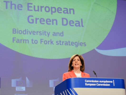 La UE cree que la vacuna contra la covid 
