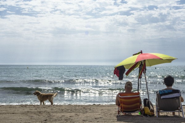 Compromís denuncia el abandono de la playa canina de Agua Amarga de Alicante