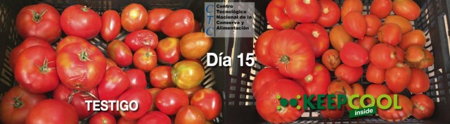 La murciana Keepcool despega internacionalmente con la última tecnología para conservar alimentos  