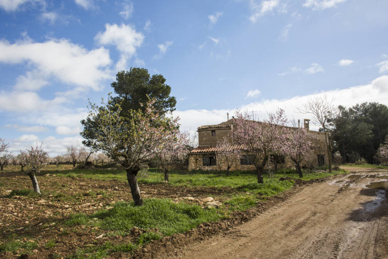 La UV y la Diputació sacan una beca para fomentar el emprendimiento en zonas rurales 