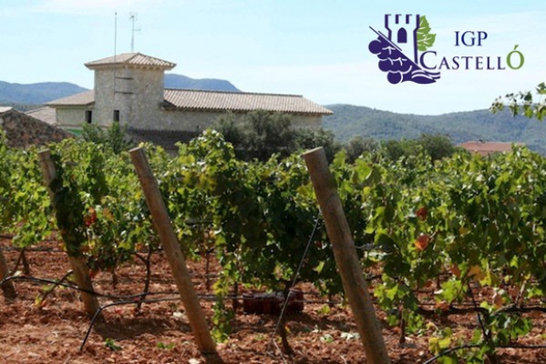 
Compromís pide a Agricultura fondos para IGP vins de Castelló, excluido de las ayudas de la covid