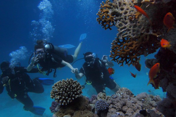 La nueva 'Guía de Itinerarios Submarinos', un espaldarazo para el turismo de buceo en Cartagena