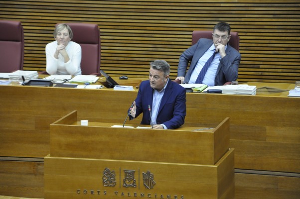 El PSPV-PSOE pide una normativa de protección de la posidonia oceánica en Les Corts
