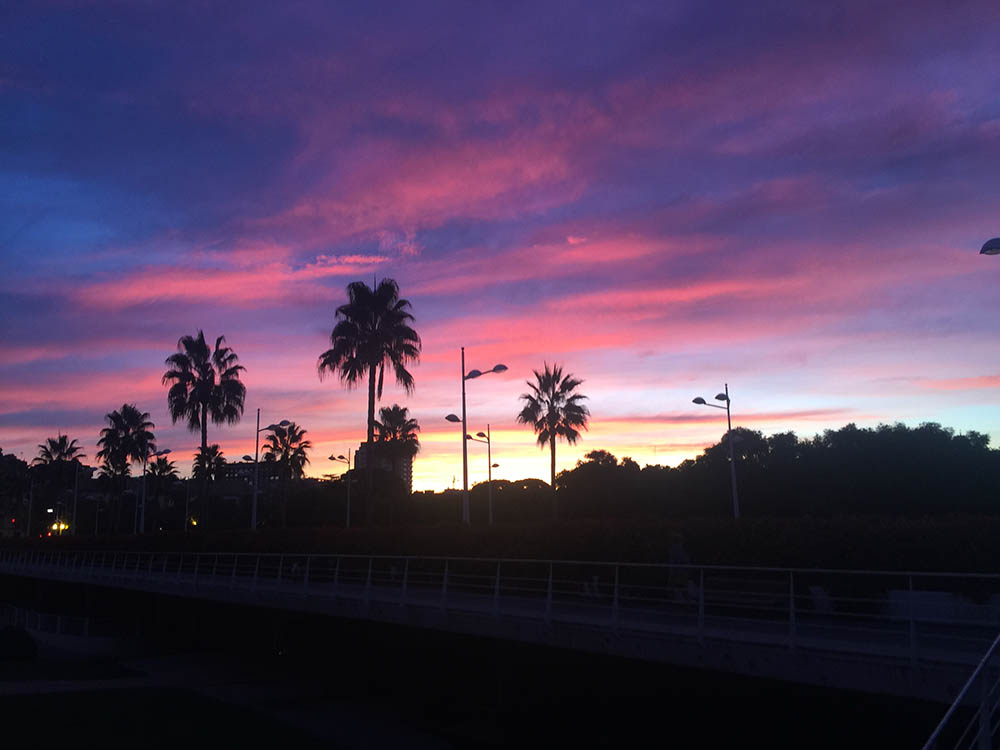 La revolución tecnológica y ecológica de la ciudad, entre los objetivos de Missions València 2030