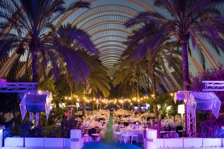 El brote de las dos discotecas de València se eleva a 38 positivos