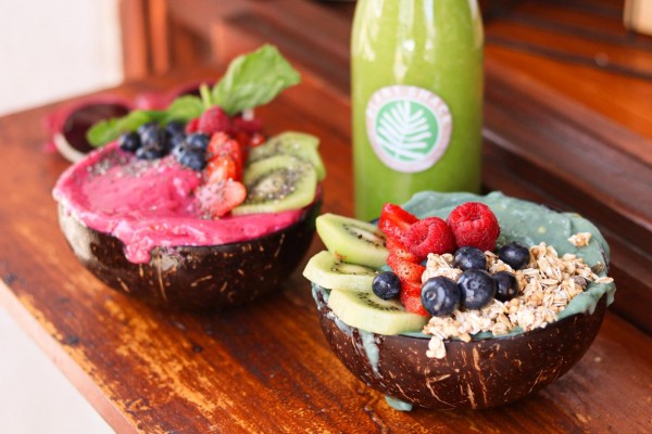 Un pedacito de verde en la Costa Blanca: Plant Shack