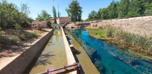 Castelló organiza tres actividades para poner el valor los murciélagos del Primer Molí