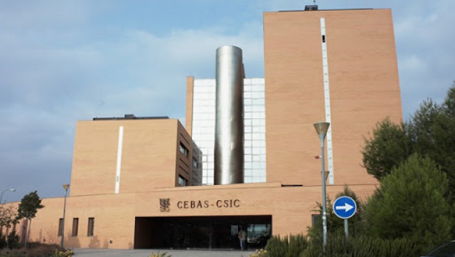 Un nuevo biofertilizante consigue reducir la contaminación del aceite de oliva