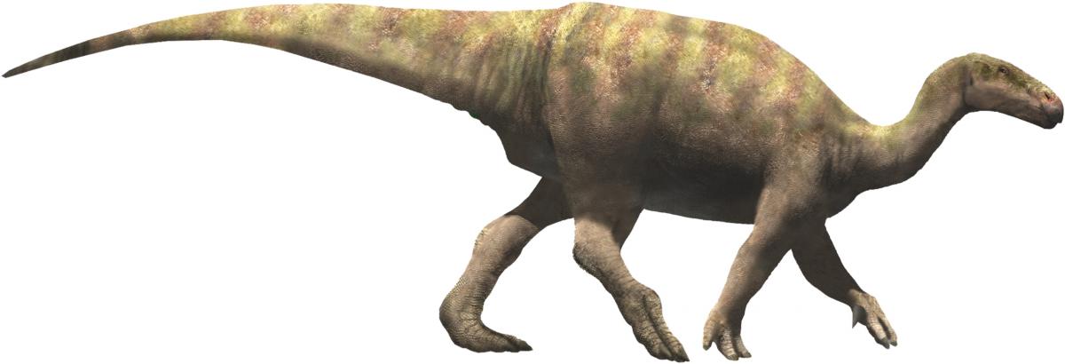 Parque Jurásico: hallan seis nuevos yacimientos con huesos de dinosaurios en Castellón