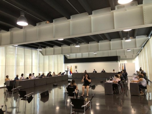 Elche respalda desde el pleno la petición del sindicato de regantes para no modificar el Tajo-Segura