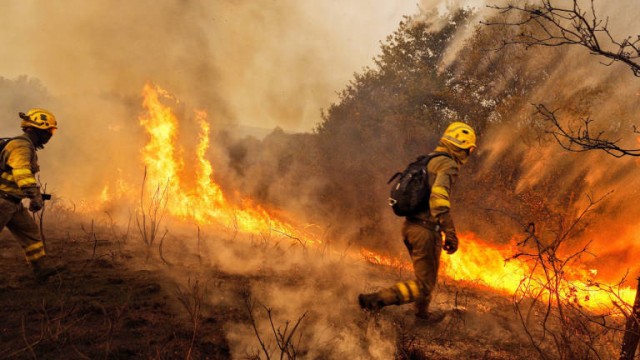 Castellón recibirá 6,6 millones de los 16,7 con los que reforestarán los montes del incendio de Andilla