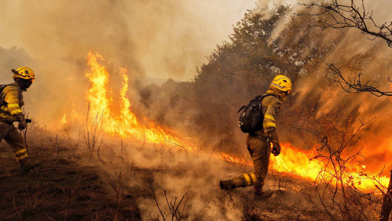 Castellón recibirá 6,6 millones de los 16,7 con los que reforestarán los montes del incendio de Andilla