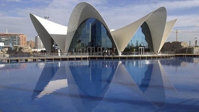 El Oceanogràfic de València reabre este lunes tras solucionar la avería que causó el incendio