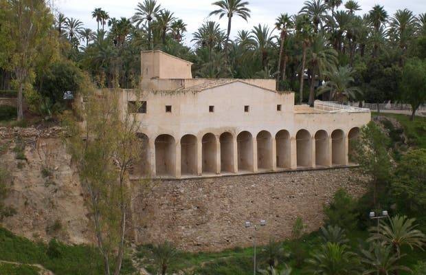 Elche pedirá las ayudas Unesco del Ministerio para un proyecto relacionado con el Palmeral o Molí Real