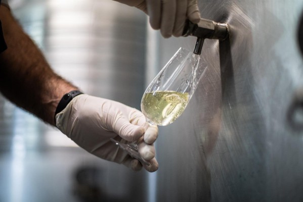 La covid pone en apuros al sector del vino: las exportaciones caen un 24% en mayo