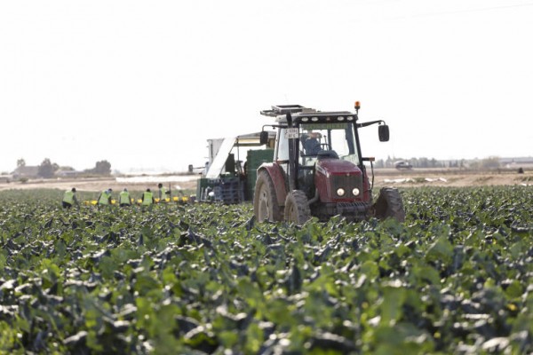 La Comunidad concede casi cinco millones en ayudas a 173 jóvenes para crear empresas agrarias